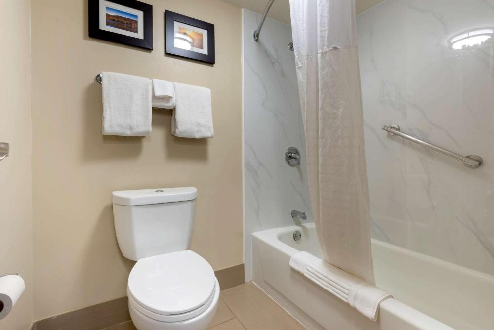 Comfort Inn Binghamton I-81