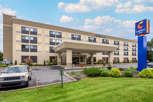 Comfort Inn Binghamton I-81 image 1
