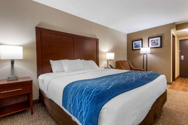 Comfort Inn Binghamton I-81 image 11