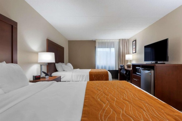 Comfort Inn Binghamton I-81 image 16