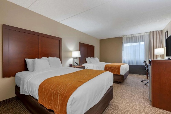 Comfort Inn Binghamton I-81 image 19