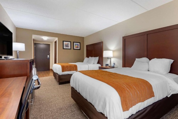 Comfort Inn Binghamton I-81 image 21