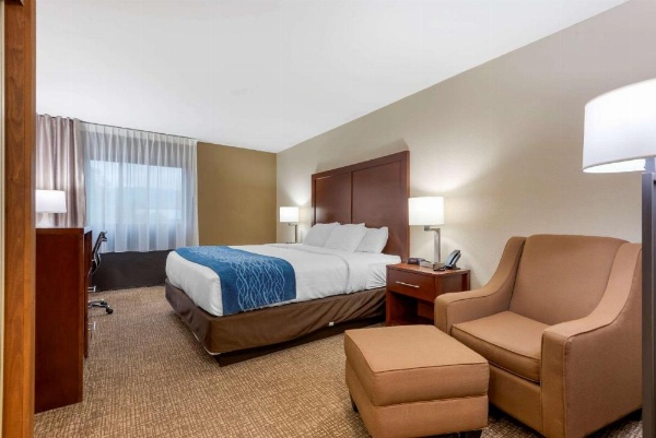 Comfort Inn Binghamton I-81 image 28