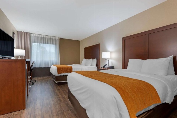 Comfort Inn Binghamton I-81 image 30